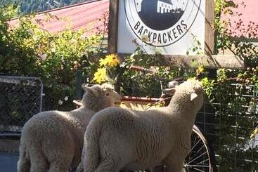 Tailor Made Tekapo Accommodation   Hostel