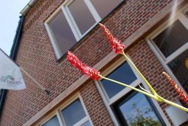 B&b Stadslodge De Meiboom