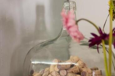 تختخواب و صبحانه Baga De Sal Wine Guesthouse