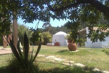 تختخواب و صبحانه Quinta Pero Vicente