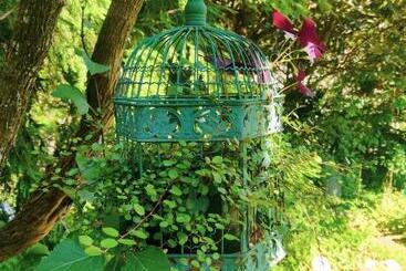 Bed And Breakfast Wildrose