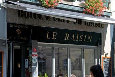 Hotel Hôtel Du Raisin