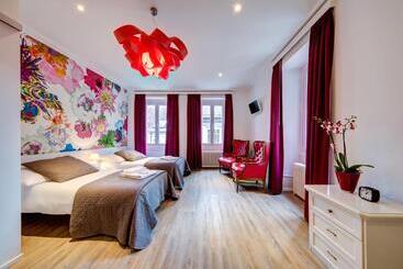 Hotel Hôtel Du Raisin