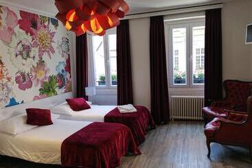 Hotel Hôtel Du Raisin