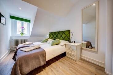 Hotel Hôtel Du Raisin