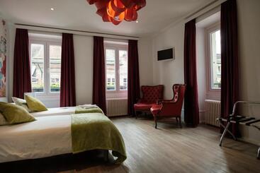 Hotel Hôtel Du Raisin
