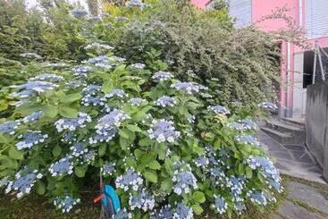 酒店 Residence Venus Garden