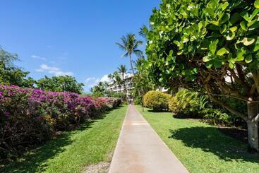 Newly Renovated Studio & Walkable To Beaches, Shops & Dining!