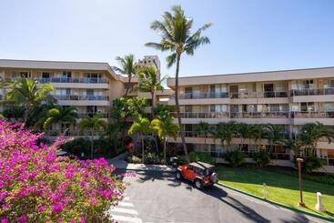 Newly Renovated Studio & Walkable To Beaches, Shops & Dining!