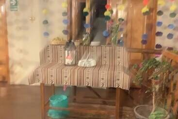 تختخواب و صبحانه Pacha House