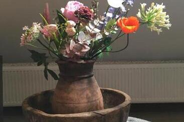 B&b De Drentse Es