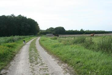 B&b De Drentse Es