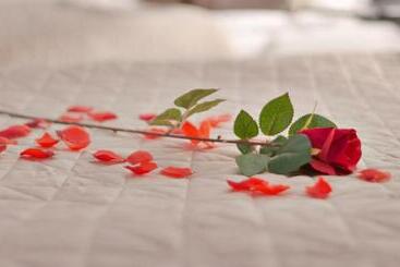 تختخواب و صبحانه Chao Nl 24 Hours Open