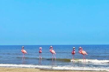 Flamingo Ibiza Hải Tiến