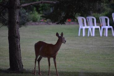 Briarwood Bed & Breakfast