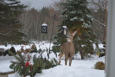 Briarwood Bed & Breakfast