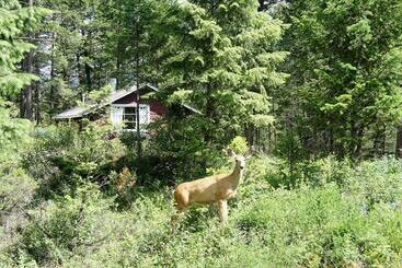 هتل Fairmont Mountain Bungalows