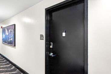 هتل Luxuri Suites 215 In Miami Beach