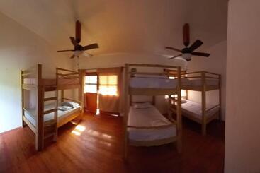 Tonat Caribe Hostel01
