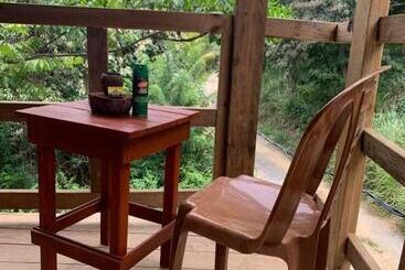Tonat Caribe Hostel01