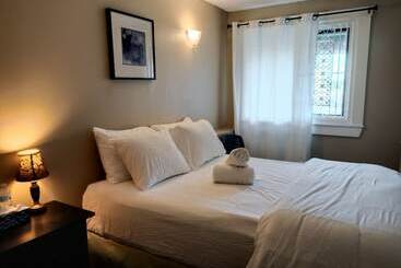 هاستل Painted Turtle Guesthouse