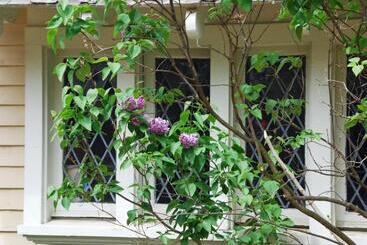 Apple Tree Historic B&b