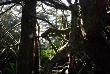 تختخواب و صبحانه Hyphocus Inn