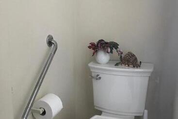 Bondy House Bed & Breakfast