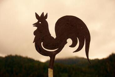 هتل Black Rooster Guesthouse