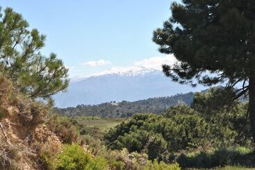 Bed and Breakfast Casa Aire De Lecrin