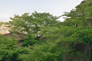 ریوکان Bingoya