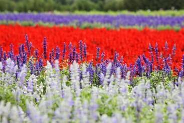 هتل Furano La Terre