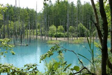 هتل Furano La Terre