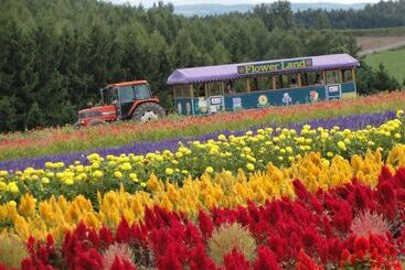 هتل Furano La Terre