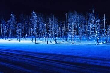 هتل Furano La Terre