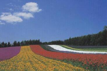 هتل Furano La Terre
