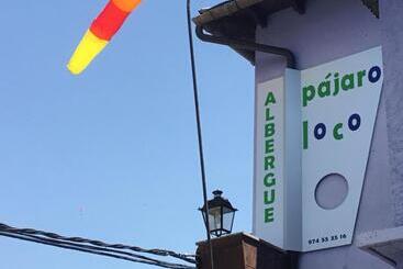 Albergue Pájaro Loco