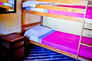 Surftolive House   Hostel