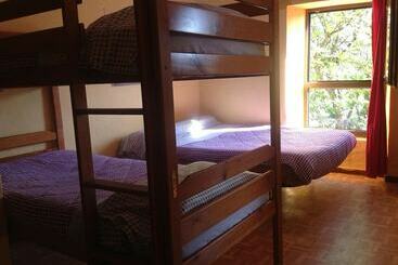 Surftolive House   Hostel