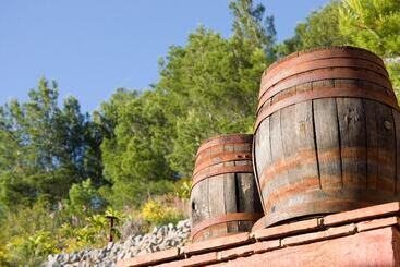تختخواب و صبحانه Finca El Tossal Adults Only
