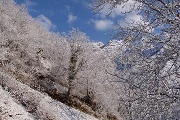 تختخواب و صبحانه Casa Rural Los Riegos