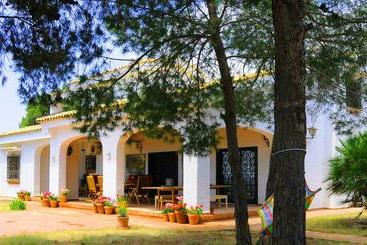 Casa Del Artista Bed & Breakfast