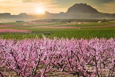 هتل Primavera