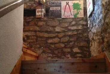 Surftolive House   Hostel