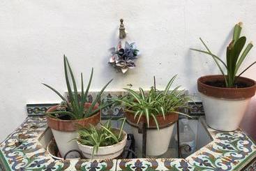 تختخواب و صبحانه El Sueño Hostel