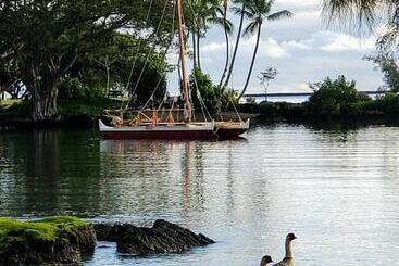 فندق Hilo Reeds Bay