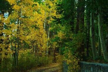 هتل Lake Front Cabins