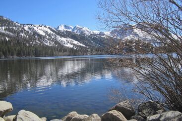 هتل Lake Front Cabins