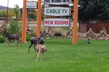 Long Holiday Motel