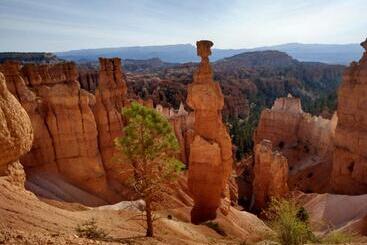 汽车旅馆  Bryce Canyon Villas